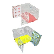 Fourmilière Boîte à Nid