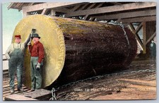 K22/ The Dalles Oregon Postcard c1910 Sawmill Log Giant Lumberman 517
