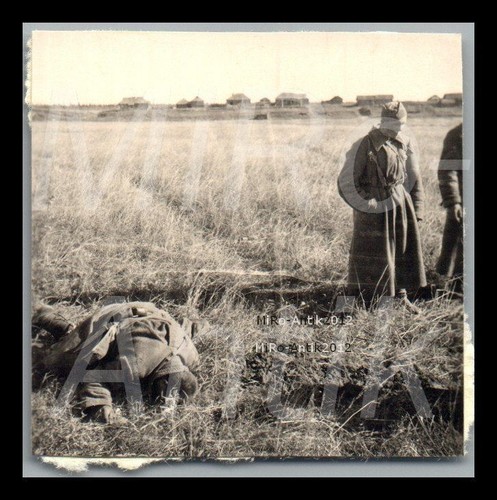 Photo ww2 campagne de russie - campagne,