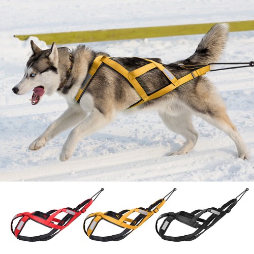 Harnais pour chien - , x-back
