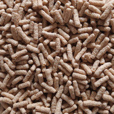 Sticks pour poisson rouge -