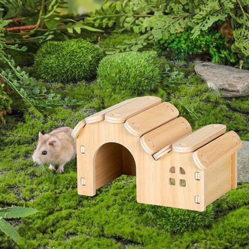 Maison bois pour hamster - bois,