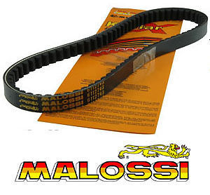 Courroie malossi renforcé - courroie,