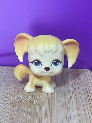 Little pet shop chien - little,