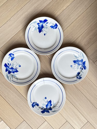 Assiettes plate faïence - plate,