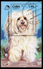 HAVANESE Bichon Habanero DOG POSTAGE STAMP MINI SHEET - 1992 "Used"