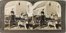 BELGIUM Antwerp Dog Drawn Milk Trolley Photo Stereo Film PL60L11