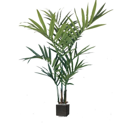 Palmier kentia artificiel - , en