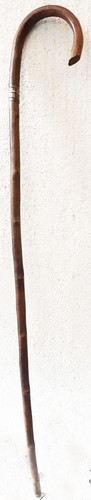 Canne ancienne bois noueux - en,