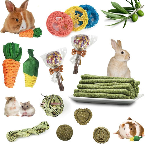 Pcs jouet pour lapin à - pcs,