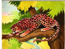 LE GUEPARD SUPERBE GOUACHE