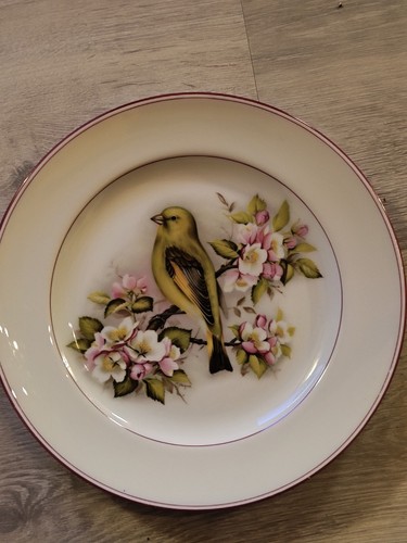 Gdc assiette limoges france - gdc,