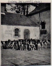 1909 -- CHENIL DE LUART SARTHE 3K875