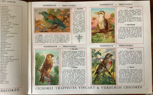 Album chromos les oiseaux - album,