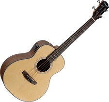 Shaman Mini Basse acoustique 4