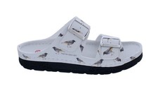 BERKEMANN Oiseau des Jahres