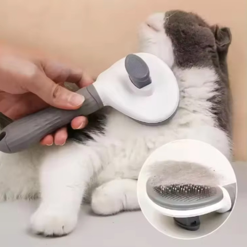 Brosse chien chat auto
