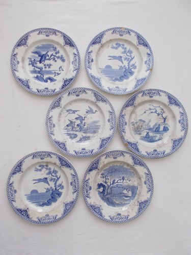 Lot assiette plate cm - plate,