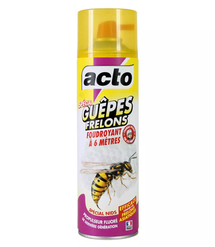 Acto special guepes - acto,