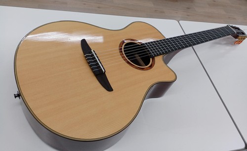 Guitare acoustique électrique