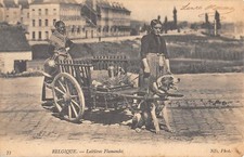 Old postcard BELGIUM / FLAMANDES MILKS