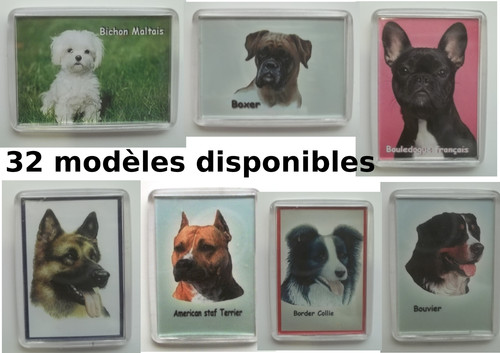 Aimant avec chien 33 - aimant,