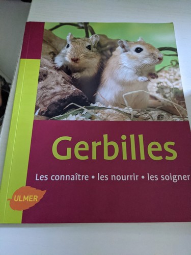 Gerbilles ulmer - gerbilles,