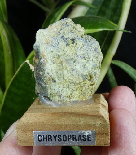 Chrysoprase sur socle 5x9cm - chrysoprase,