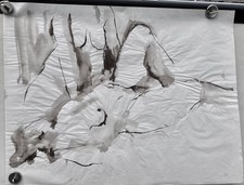 JACQUELINE OBLIN - CORBIN -