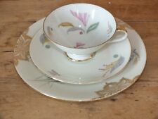 Schirnding Bareuther Bavaria Porcelain Decorative Mug and Plate