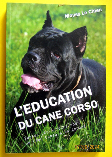 éducation cane corso par - du,