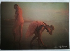 Carte Postale  DAVID  HAMILTON