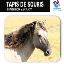 TAPIS DE SOURIS CHEVAL CHEVAUX POULAIN JUMENT ANIMAUX CH-06