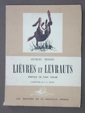 Lièvres et levrauts - G
