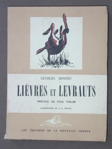Lièvres levrauts g - lièvres,