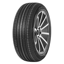 Pneu Été Compasal 205/55 R