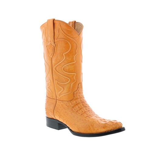 Wild west caiman hornback - west,