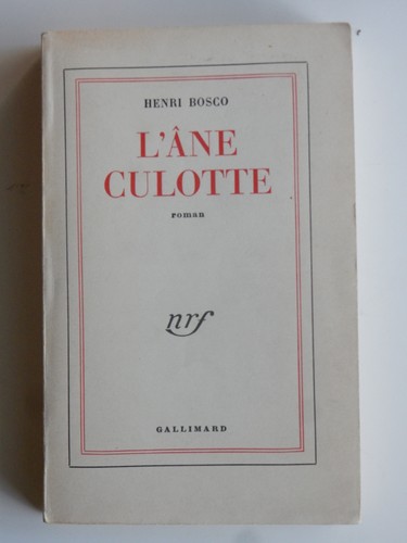 âne culotte henri - culotte, bosco