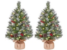 Ensemble De 2 Sapins De Noël