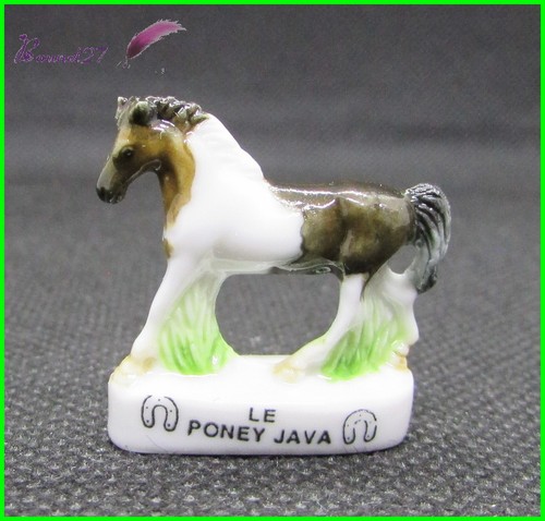 Feve les races cheval - races, horse