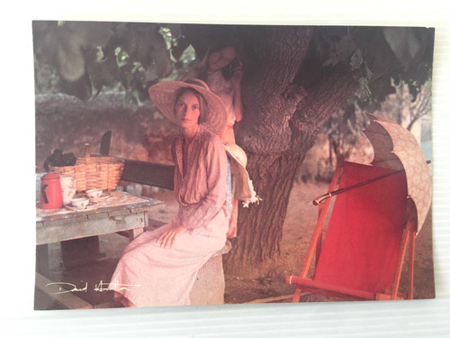 Carte postale david hamilton - postale,