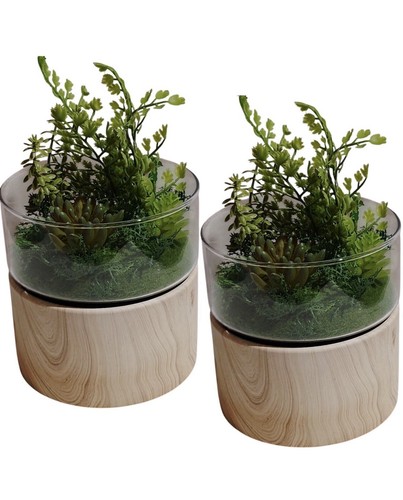 Threshold round wood terrarium - threshold,