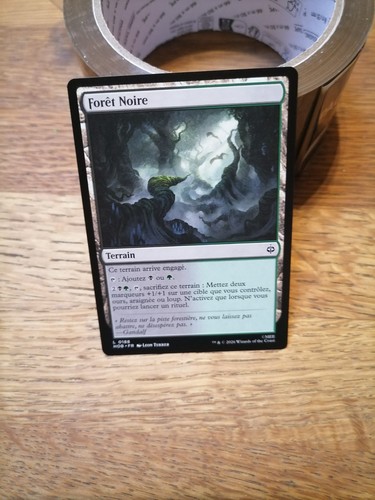 Magic the gathering - gathering,