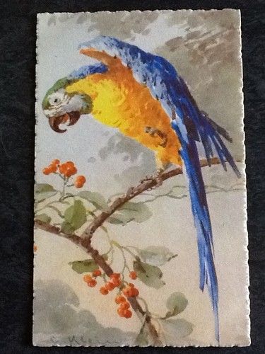 Illustree signee klein - illustree,