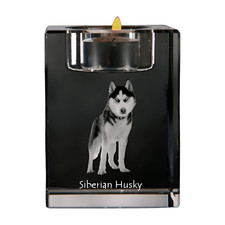 Husky Sibérien - Porte-Cierge
