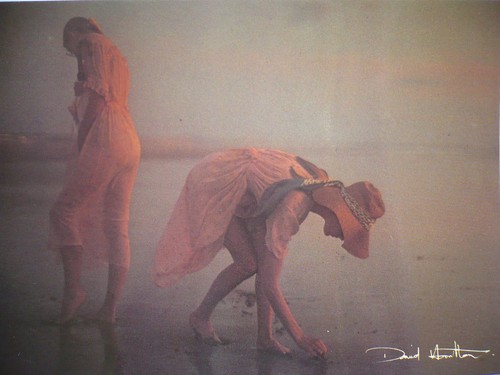 Carte postale david - carte,