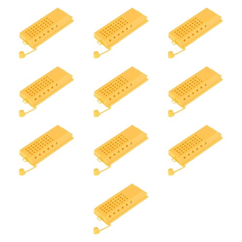 10pcs queen abeilles cages
