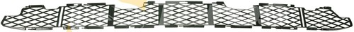 Grille pare choc avant - grille, pare-choc