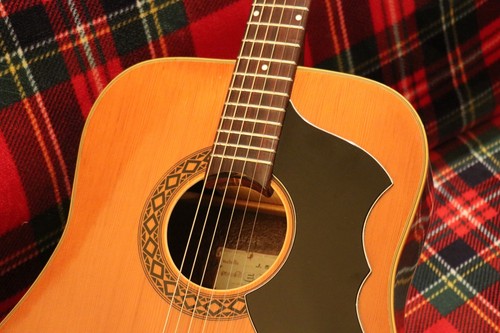 Really nice eko j54 - j54, acoustic