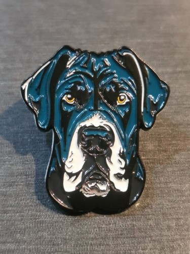 Cane corso dog chien - corso, pin